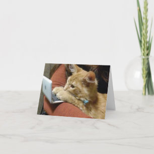 BUSY KITTY SAYS ***HAPPY BIRTHDAY** FÜR SIE KARTE