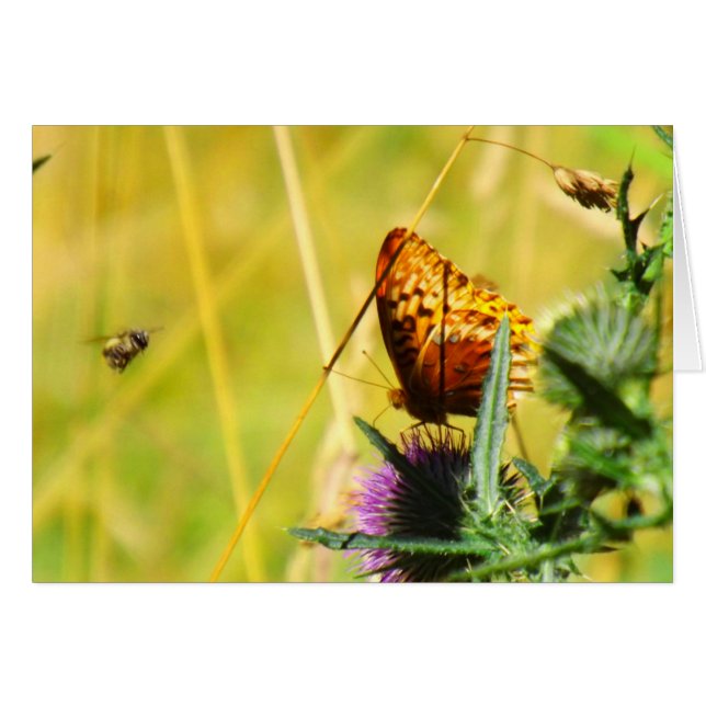 Busy Meadow (Vorderseite (Horizontal))