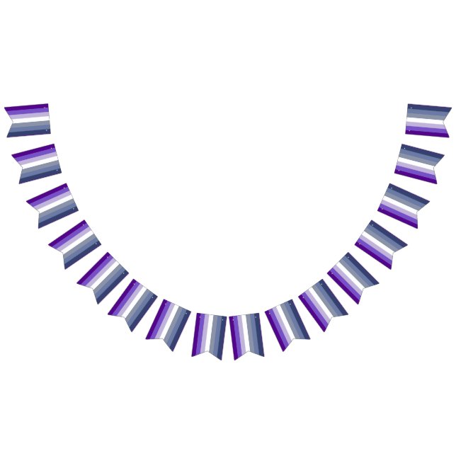 Butch Lesbian Pride Flag Wimpelkette (Alle)