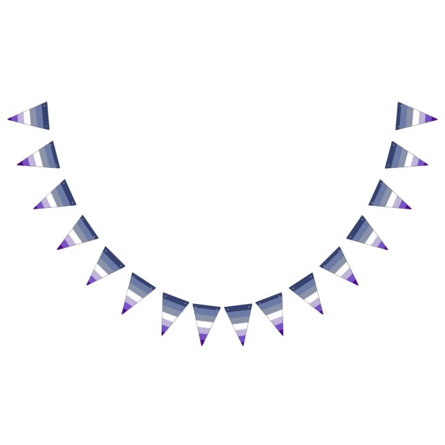 Butch Lesbian Pride Flag Wimpelkette (Alle)