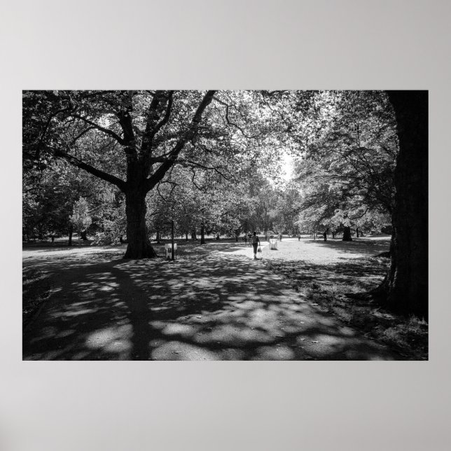 Bute Park an einem Sommernachmittag. Cardiff, Wale Poster (Vorne)