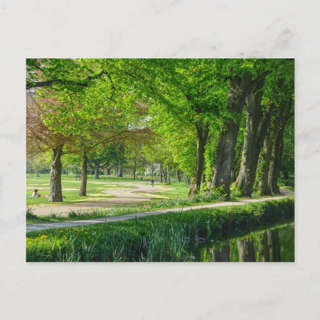 Bute Park, Cardiff, Wales. Postkarte (Vorderseite)
