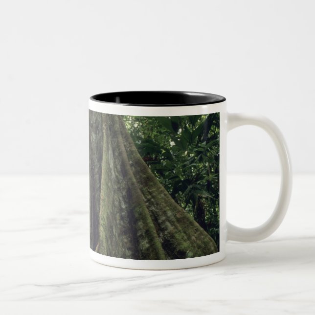 Butte Baum im Regenwald, Corcovado Zweifarbige Tasse (Rechts)
