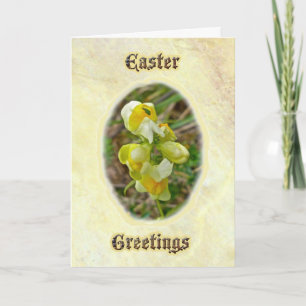 Butter 'n Egg Ostergrusskarte Feiertagskarte