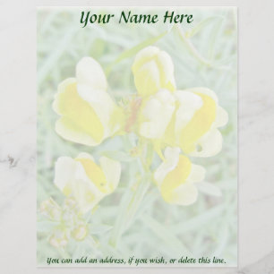 Butter 'n Egge Wildblume Letterhead Briefkopf