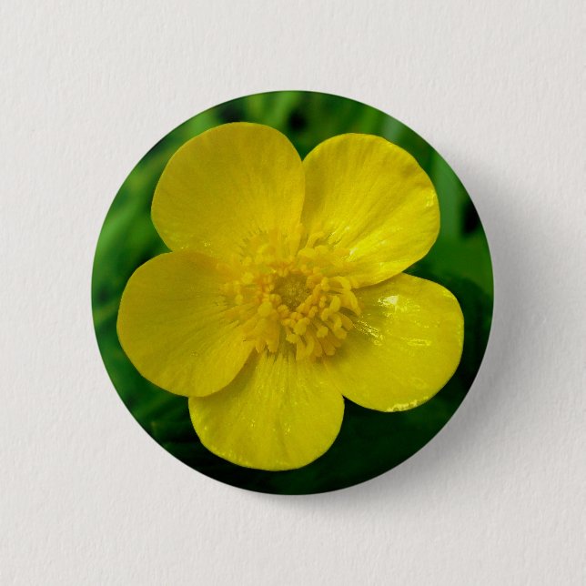 Butterblume Button (Vorderseite)