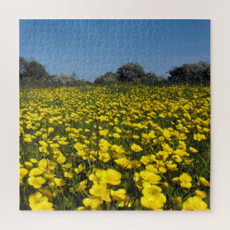 Butterblume-Feld Puzzle