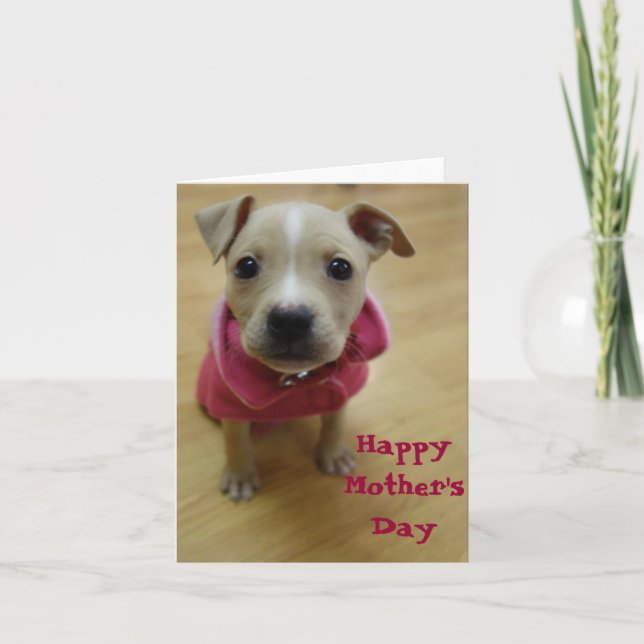 Butterblume Karte (Vorderseite)