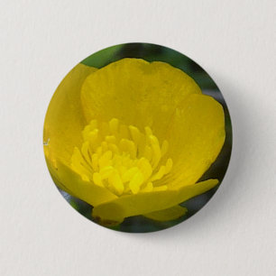 Butterblume-Knopf Button