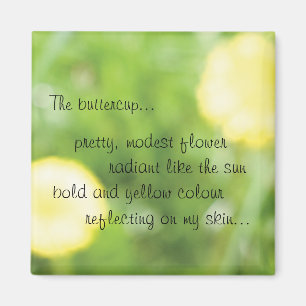 Butterblume-Magnet Magnet