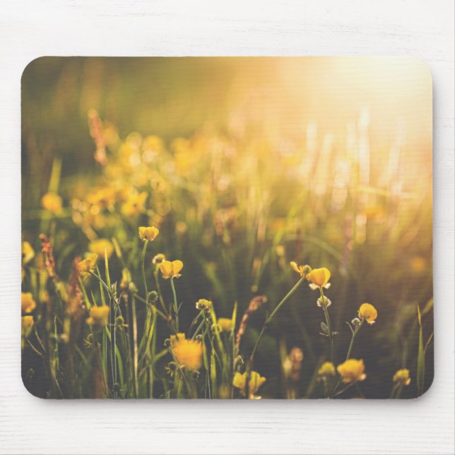 Butterblume-Sonnenuntergang Mousepad (Vorne)