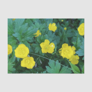 Butterblume-themenorientiertes Seidenpapier