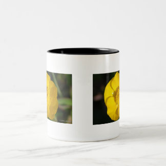 Butterblumeen Zweifarbige Tasse