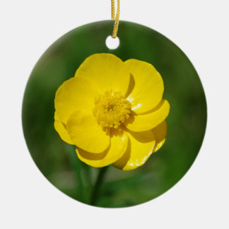 Butterblumeverzierung Keramik Ornament