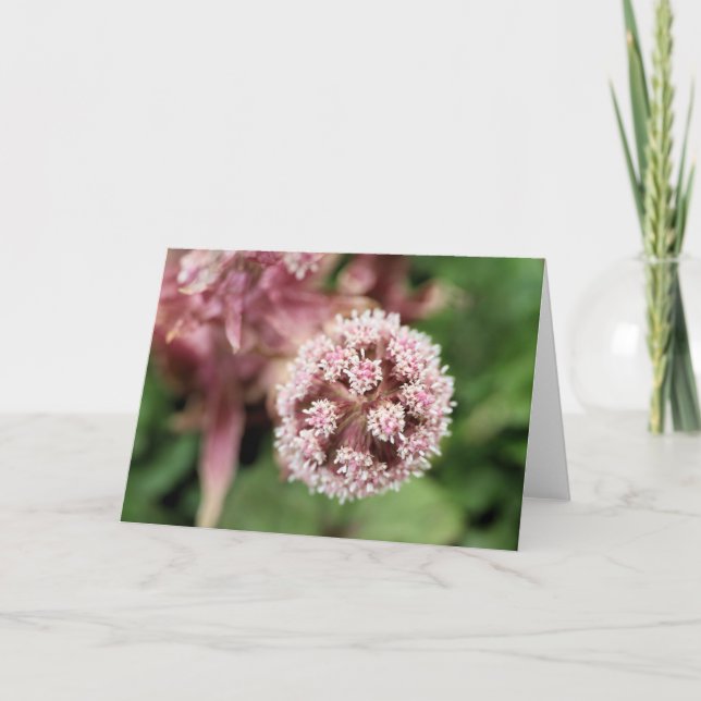 Butterbur Karte (Vorderseite)