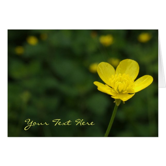 Buttercup-Blume (Vorderseite (Horizontal))