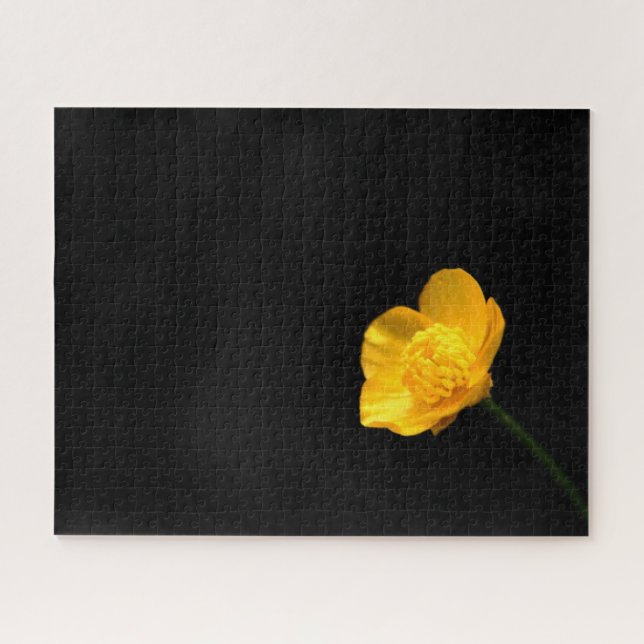 Buttercup-Blume 16x20 520pc jpcn Puzzle (Horizontal)
