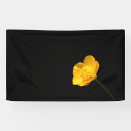 Buttercup-Blume Banner