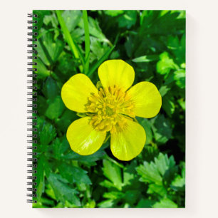 Buttercup Blume bewundern. Notizbuch