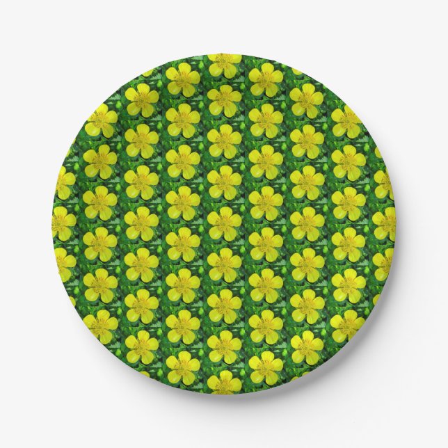 Buttercup Blume bewundern. Pappteller (Vorderseite)