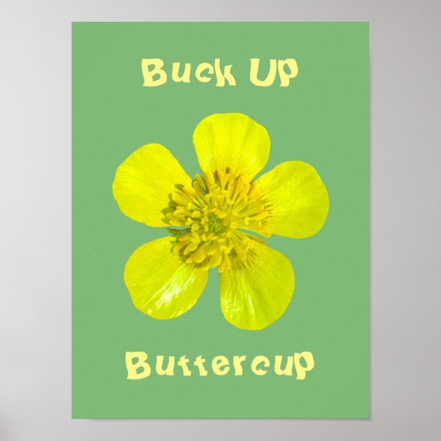 Buttercup Blume - Bringe den Buttercup hoch. Poster (Vorne)