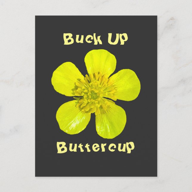 Buttercup Blume - Bringe den Buttercup hoch. Postkarte (Vorderseite)