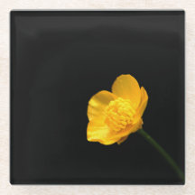 Buttercup-Blume
