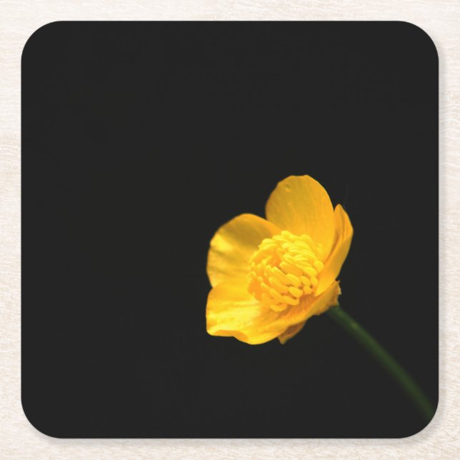 Buttercup-Blume Rechteckiger Pappuntersetzer (Vorderseite)