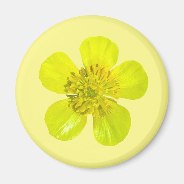 Buttercup Blume - transparent. Magnet (Vorne)