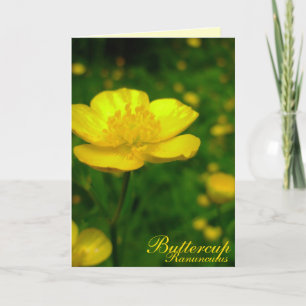 Buttercup Card Wilde Blume Maßgeschneiderte Karten