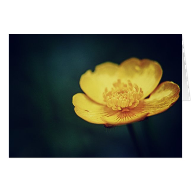 Buttercup-Karte (Vorderseite (Horizontal))