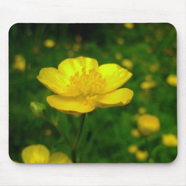 Buttercup Mousepad Yellow Blume Computer Mousepad (Vorne)