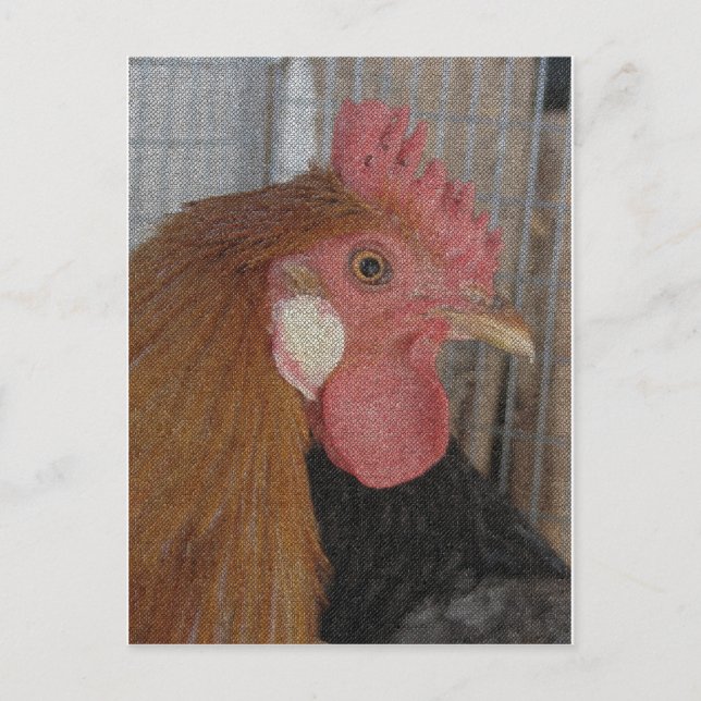 Buttercup-Runder Postkarte (Vorderseite)