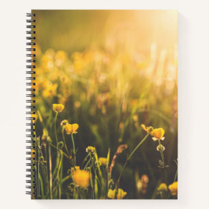 Buttercup Sundown Notizbuch