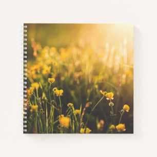 Buttercup Sundown Notizbuch