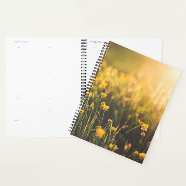 Buttercup Sundown Planer (Anzeige)