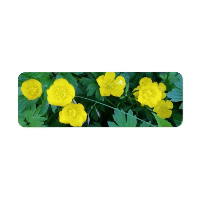 Buttercup Themed Labels (Vorne)