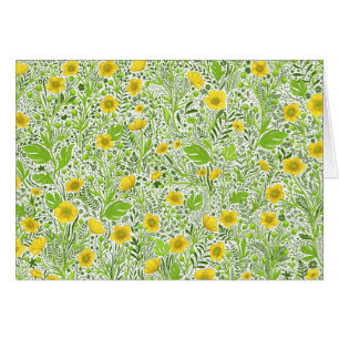 Buttercups auf weiß