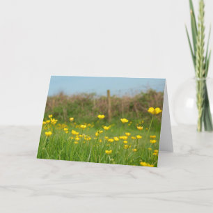 Buttercups Karte