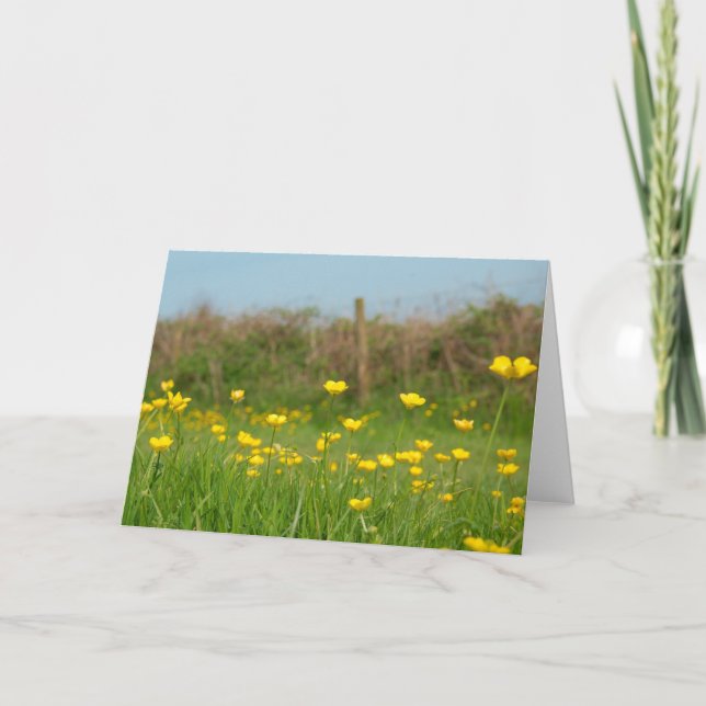 Buttercups Karte (Vorderseite)
