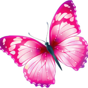 Butterflie T - Shirt