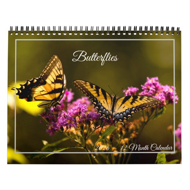 Butterflies 12 Month Calendar Kalender (Titelbild)