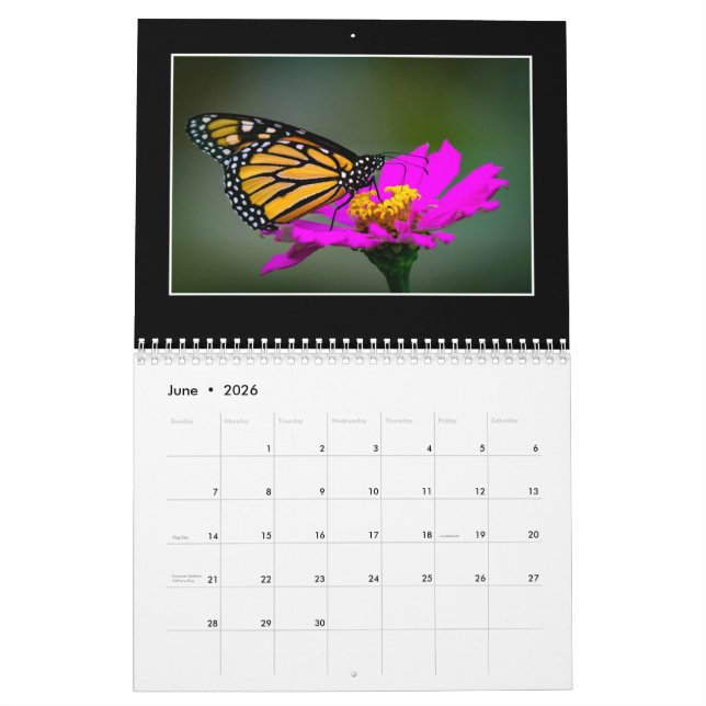 Butterflies 2020 Kalender von Tom Minutolo (Jun 2026)