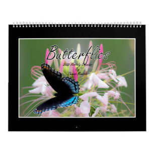 Butterflies 2022 Kalender von Tom Minutolo