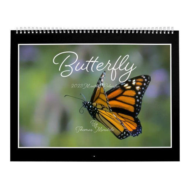 Butterflies 2023 Kalender von Tom Minutolo (Titelbild)