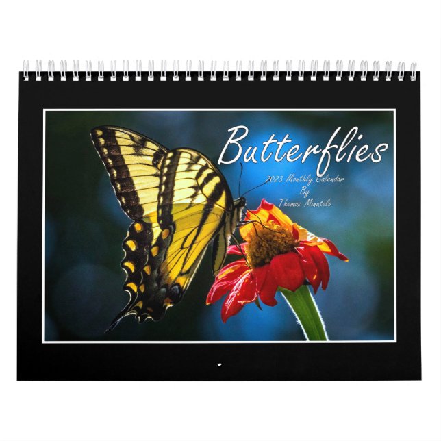 Butterflies 2023 Kalender von Tom Minutolo (Titelbild)