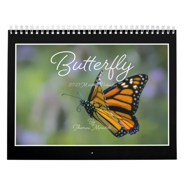 Butterflies 2023 Kalender von Tom Minutolo (Titelbild)
