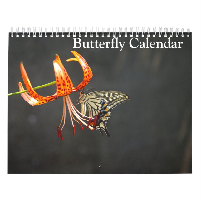 Butterflies 2025 kalender (Titelbild)