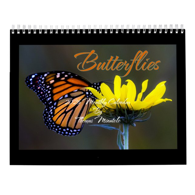 Butterflies 2026 Kalender von Tom Minutolo (Rückseite)