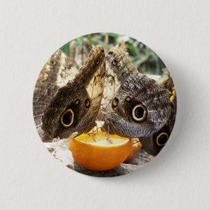 BUTTERFLIES BUTTON
